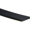 V-Ribbed Serpen (B)