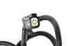 Tail Light Wiri (P1) - image 2