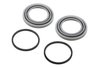 SEAL KIT-RR BRK (SLP-1)