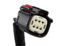 HARNESS ASM-T/LP WR PARIT - image 3