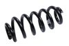 SPRING-RR COIL (B) - image 1