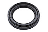 SEAL ASM-R/AXL (SLP-1)
