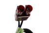 ANTENNA ASM-HIGH FR (99) - image 3