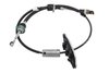 CABLE ASM-A/TRN (99) - image 1