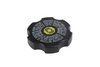 CAP-BRK M/CYL R (SLP-1) - image 1