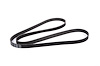 V-Ribbed Serpen (SLP-P1) - image 1