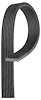 V-Ribbed Serpen (B)