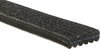 V-Ribbed Serpen (B) - image 2
