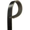 V-Ribbed Serpen (B)