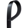 V-Ribbed Serpen (B)