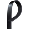 V-Ribbed Serpen (PARITY)
