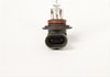 BULB ASM HDLP LOW BEAM - image 3