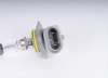 BULB ASM HDLP LOW BEAM - image 2