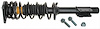 Strut and Spring Assembly Chevrolet, Oldsmobile, Pontiac - image 1