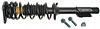 Strut and Spring Assembly Chevrolet, Oldsmobile, Pontiac - image 2