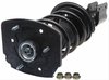 Strut and Spring Assembly Chevrolet, Buick, Pontiac - image 3