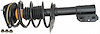 Strut and Spring Assembly Chevrolet, Buick, Pontiac - image 1