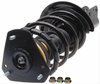 Strut and Spring Assembly Chevrolet, Buick, Pontiac - image 3