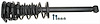 STRUT AND SPRING ASSEMBLY - image 1