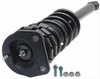 STRUT AND SPRING ASSEMBLY - image 3
