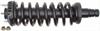 Strut and Spring Assembly Chevrolet, GMC, Buick, Oldsmobile - image 1