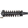 Strut and Spring Assembly Chevrolet, GMC, Buick, Oldsmobile - image 2