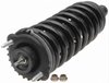 Strut and Spring Assembly Chevrolet, GMC, Buick, Oldsmobile - image 3