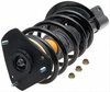 STRUT AND SPRING ASSEMBLY - image 3