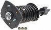Strut and Spring Assembly Chevrolet Impala, Impala SS - image 3