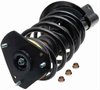Strut and Spring Assembly - image 3