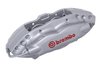 CALIPER ASM-RR (SLP-1) - image 1