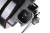 HORNSINGLE HIGH (94) - image 2