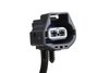 PUMP ASM-P/B BO (SLP-1) - image 2