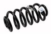 SPRINGRR COIL (A) - image 1