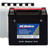 BATTERY ASM - image 1