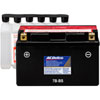 BATTERY ASM - image 1