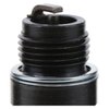 Conventional Sp (SLP-1) - image 2
