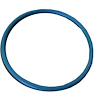 SEAL FUEL SDRO-RING - image 1