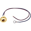 LS247 Multi-Purpose Light Socket