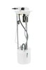Fuel Pump and L (SLP) - image 2