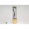Fuel Pump and L (B) - image 1