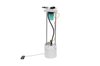 Fuel Pump and L (B) - image 4
