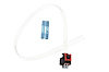 ABS Wheel Speed Sensor Connector