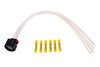 CONNECTOR KITWRG (SLP) - image 1