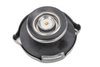 CAP ASM-RAD FIL - image 2