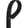 BELT TMG - image 1