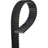Timing Belt (PARITY)