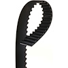 BELT TMG - image 1