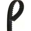 BELT TMG - image 1