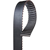 BELT TMG - image 1